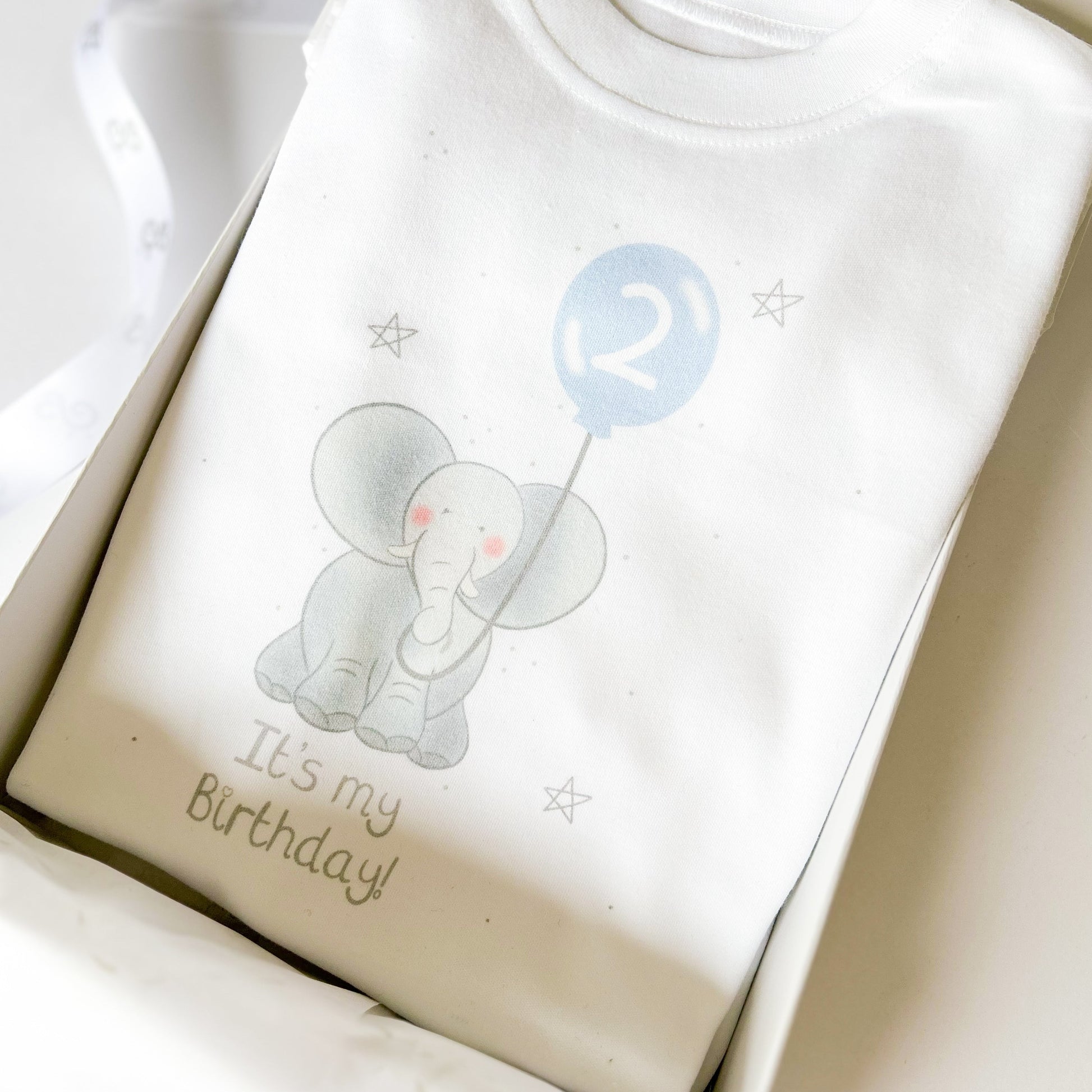 2nd birthday t-shirt with jungle safari elephant design holding a blue balloon with a number 2 in it with slogan "It's my birthday"