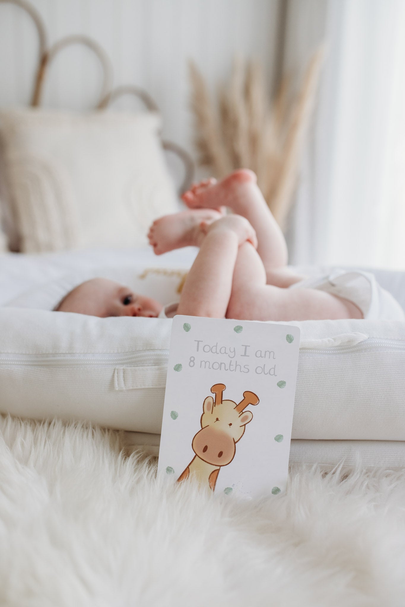 newborn baby with luxury gift set of safari animal theme  baby milestone cards with a cute giraffe illustration and monthly milestone text