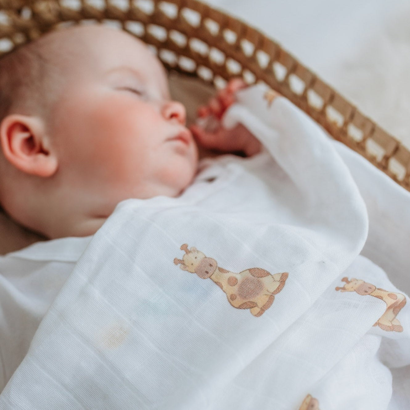 white organic cotton muslin swaddle blanket wrapped around a newborn sleeping baby in a baby basket with a cute safari giraffe printed design