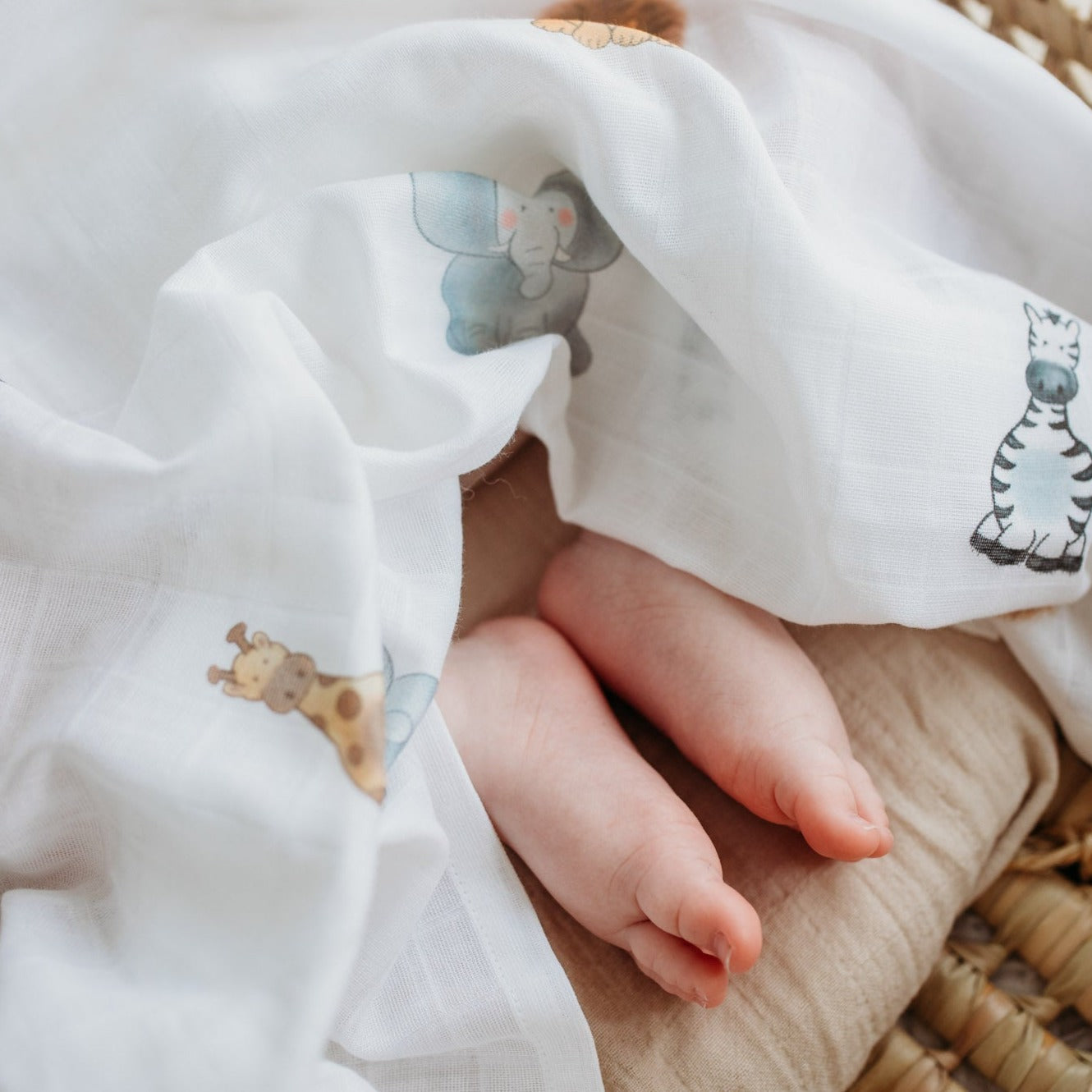 organic cotton safari animal baby muslin swaddle covering a sleeping baby's toes